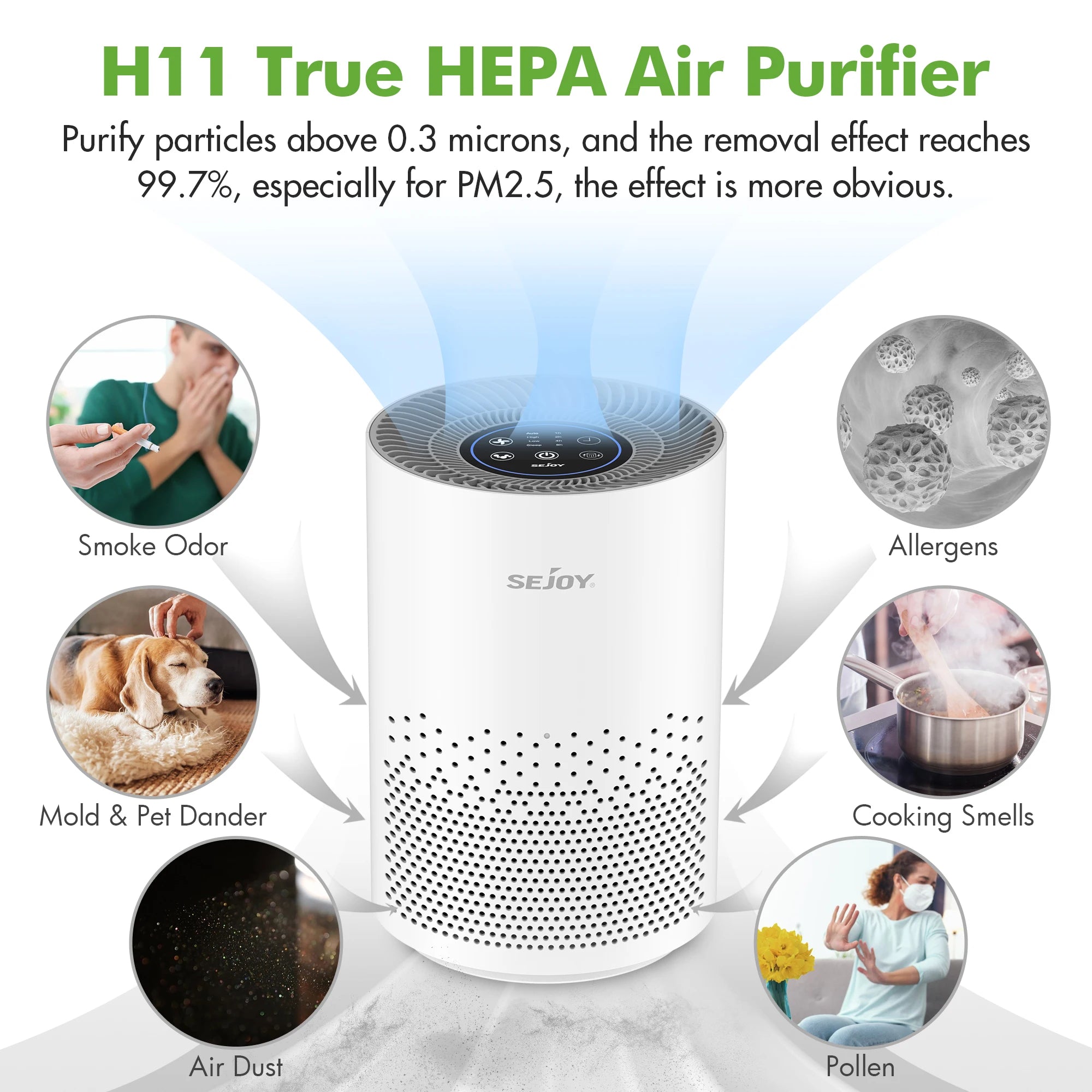 True HEPA Air Purifier Hepa Filter,4 Speeds,Timers Ionizer Cold Plasma 360° Air Inlet 99.9% Removal Rate For Indoor Bedroom